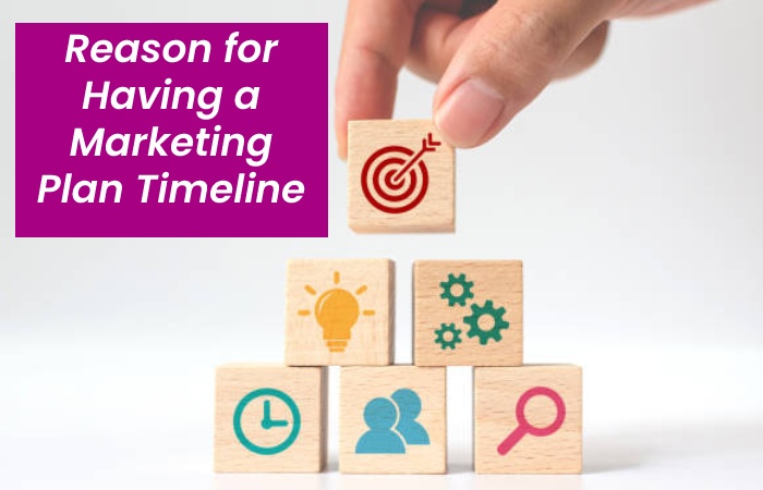 Reasons of Marketing Plan Timeline