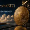 How Cryptocurrency Holders Can Use Shrminer To Explore More Income Opportunities And Easily Easily Achieve A 4% Daily Increase In Your Digital Assets